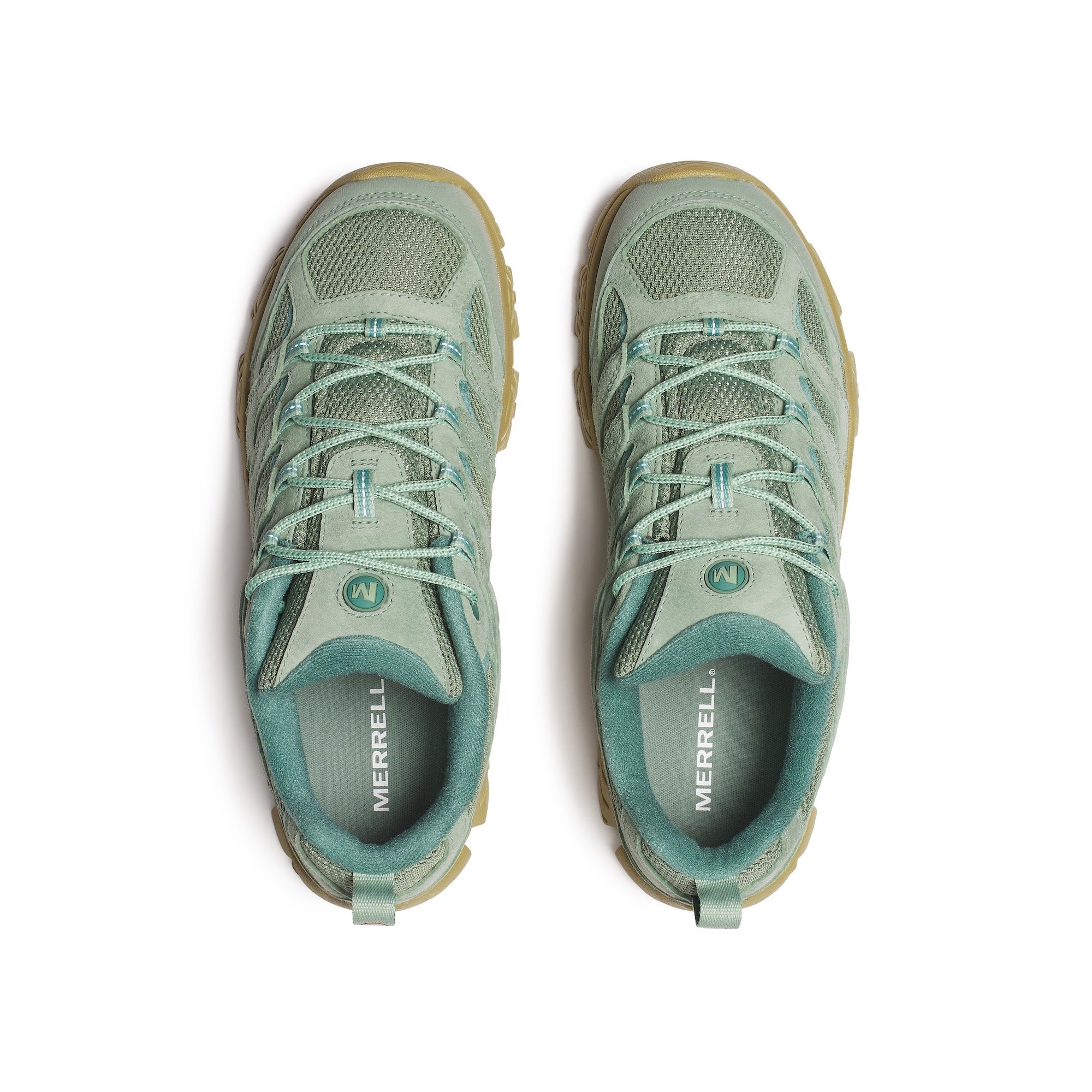 Men's Moab 3 - Juniper (T3)