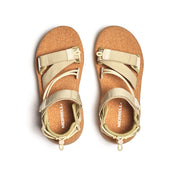 Women's Speed Fusion Web RMX - Poplar