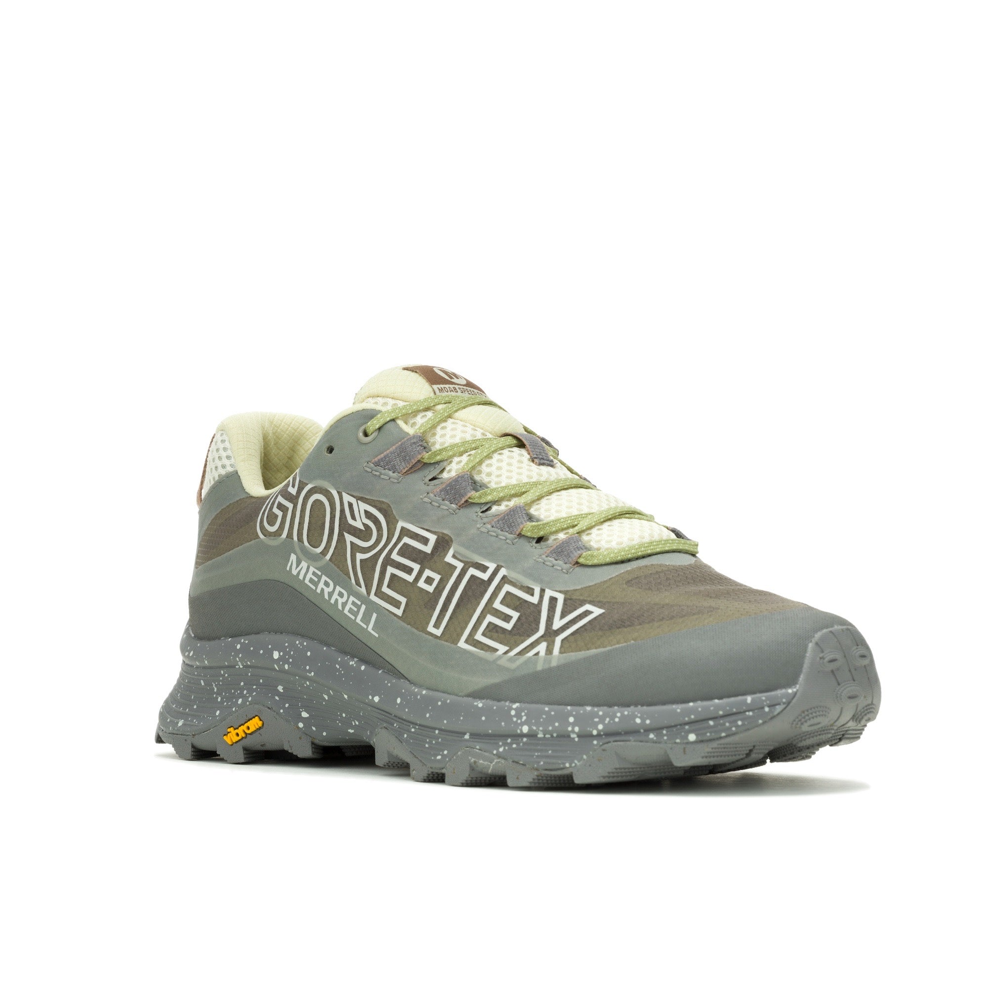 Men's Moab Speed GTX SE - Fog