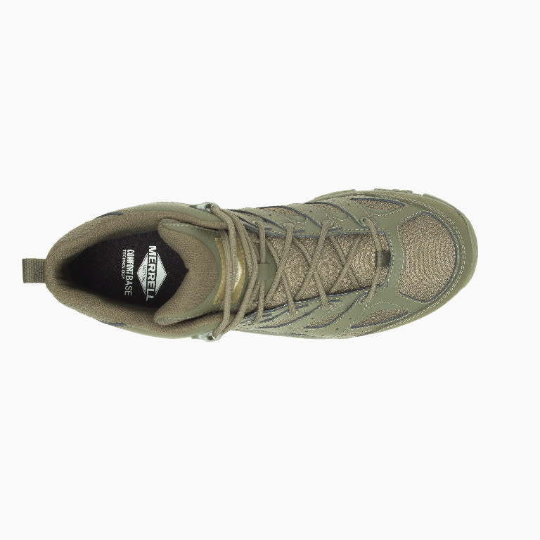 Moab 3 Mid Tactical Wp - Dark Olive