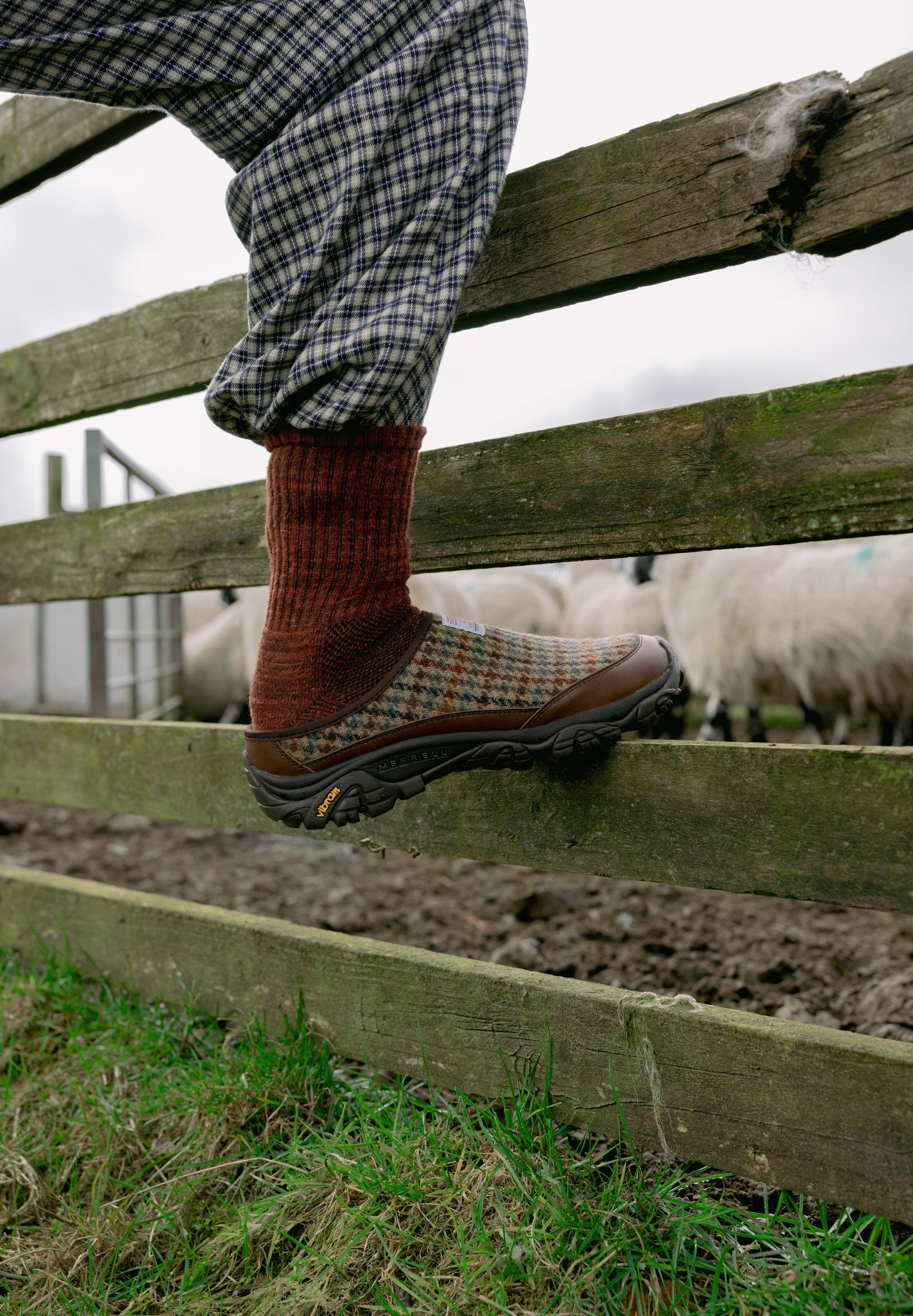 MRL-2H26-HarrisTweed-J_-01_5_copy.jpg