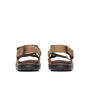 Men's Cove LTR Backstrap - Coffee