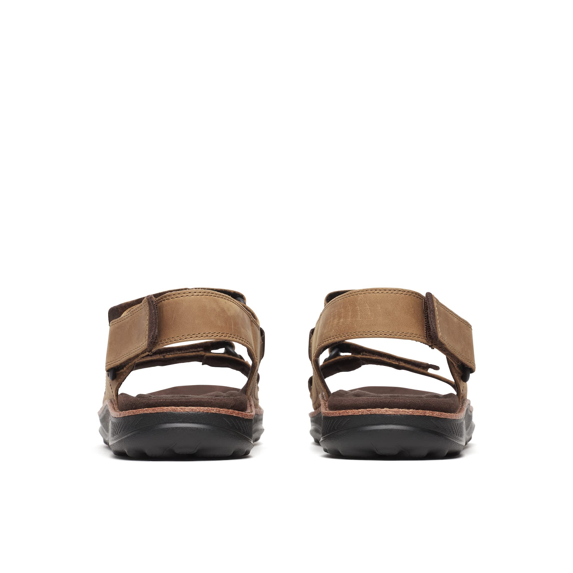 Men's Cove LTR Backstrap - Coffee