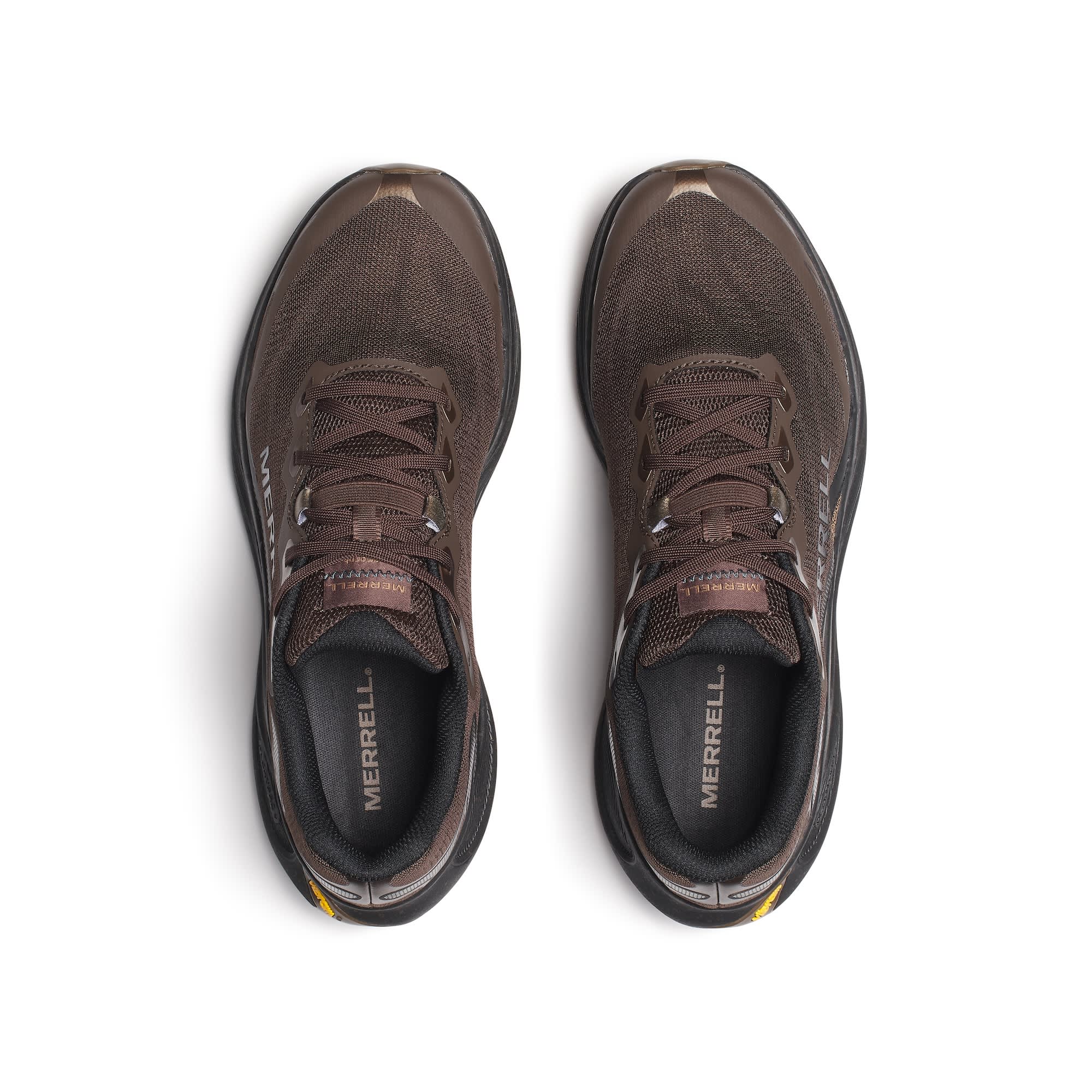 Men's Promorph - Coffee