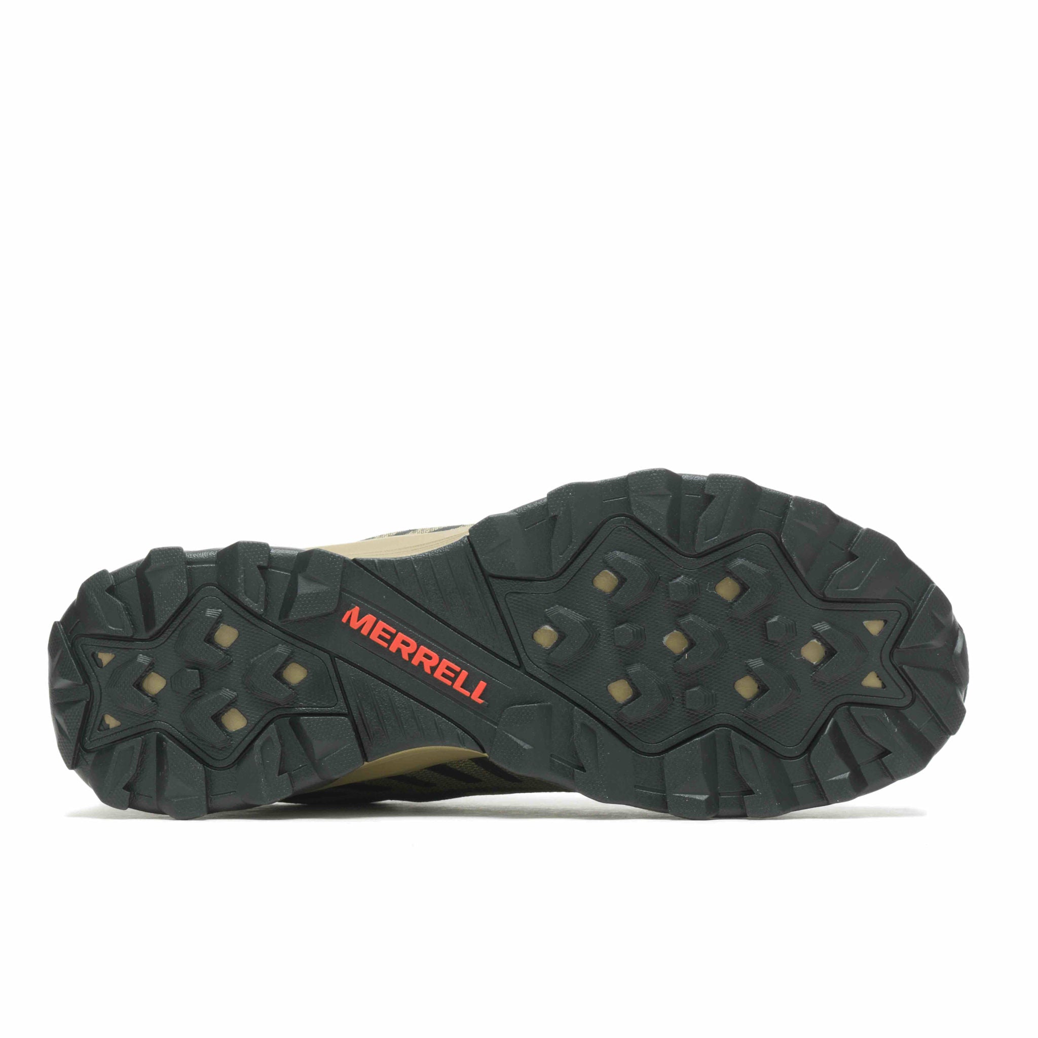Men's Speed Eco - Herb/Coyote