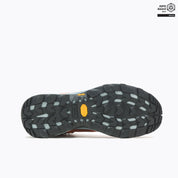 Men's Rogue Hiker Mid GTX - Orange