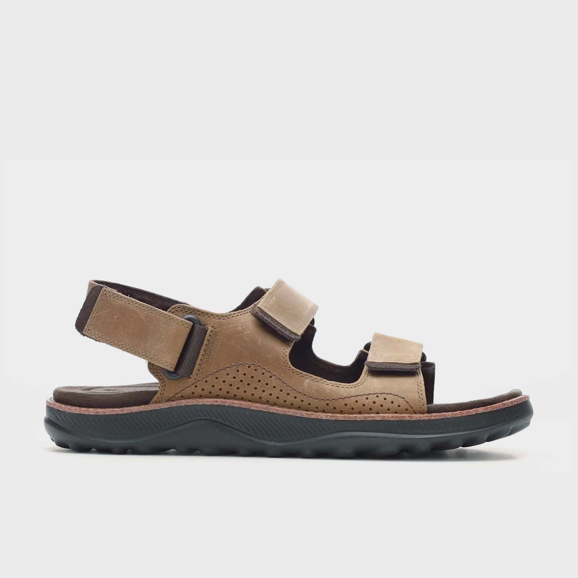 Men's Cove LTR Backstrap - Coffee